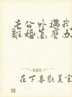 老公外遇我不想离婚怎么办封面