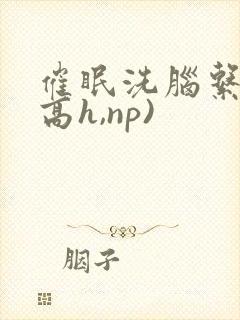 催眠洗脑系统(高h,np)