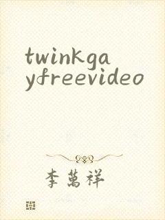 twinkgayfreevideo封面