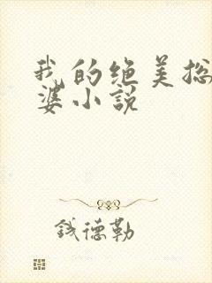 我的绝美总裁老婆小说