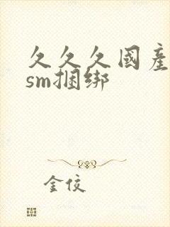久久久国产调教sm捆绑
