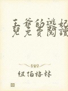 王爷的逃妃齐水儿免费阅读封面