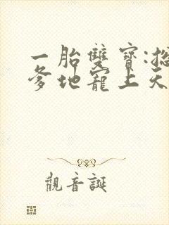 一胎双宝:总裁爹地宠上天
