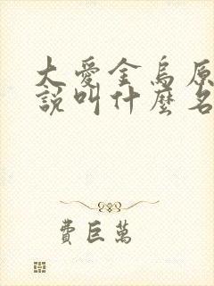 大爱金乌原著小说叫什么名字封面