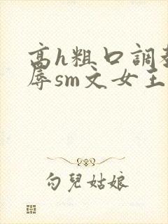 高h粗口调教羞辱sm文女王