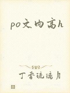 po文肉高h