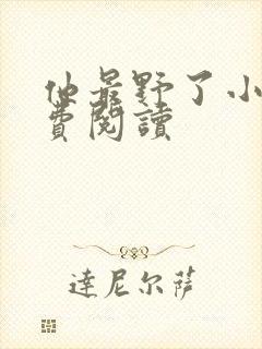 他最野了小说免费阅读