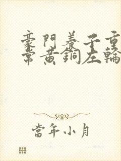 豪门养子重生日常黄铜左轮