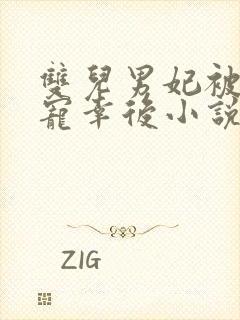 双儿男妃被皇上宠幸后小说