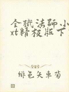 全职法师小说txt精校版下载封面