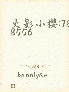 火影小樱:788556