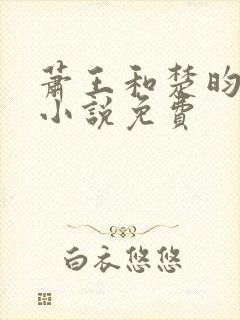 萧王和楚昀宁的小说免费封面