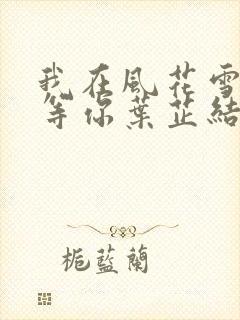 我在风花雪月里等你叶芷结局
