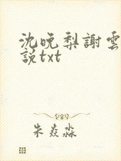 沈晚梨谢云迟小说txt封面