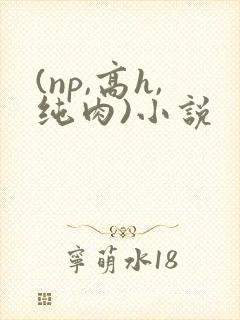 (np,高h,纯肉)小说