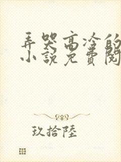弄哭高冷的室友小说免费阅读封面