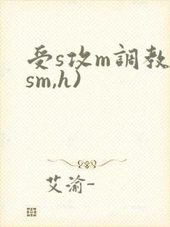受s攻m调教(sm,h)