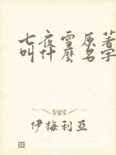 七夜雪原著小说叫什么名字啊