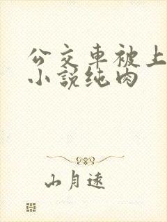 公交车被上高潮小说纯肉