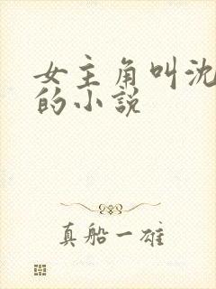 女主角叫沈知夏的小说