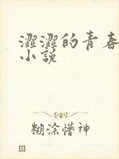 涩涩的青春情感小说封面