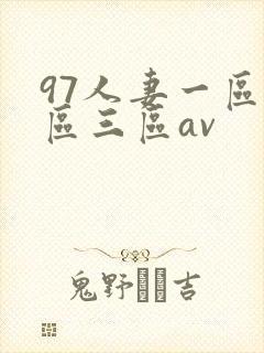 97人妻一区二区三区av