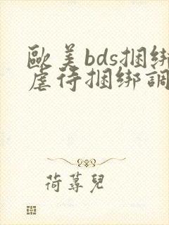 欧美bds捆绑虐待捆绑调教奴隶