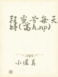 段灵兮每天激情时(高h,np)