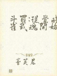 斗罗:从觉醒朱雀武魂开始