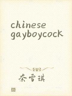 chinesegayboycock封面