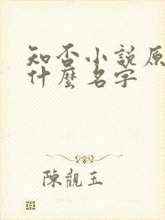 知否小说原著叫什么名字