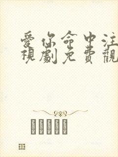 爱你命中注定电视剧免费观看完整版高清封面