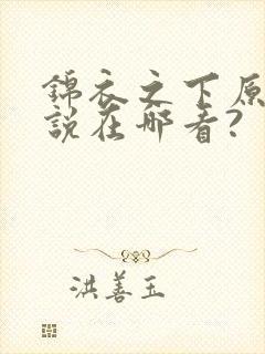 锦衣之下原著小说在哪看?封面