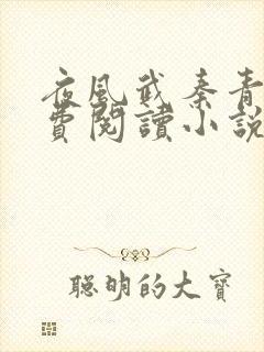 夜风武秦青寒免费阅读小说