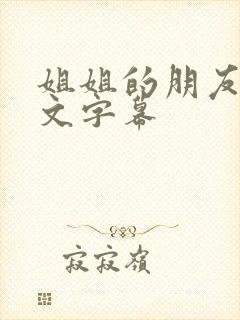 姐姐的朋友3中文字幕