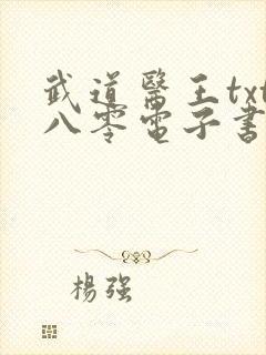 武道医王txt八零电子书