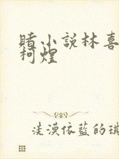 赌小说林喜朝和柯煜