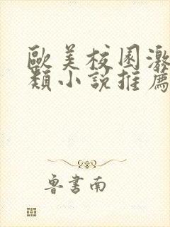 欧美校园激情另类小说推荐