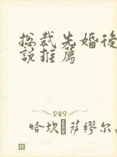 总裁先婚后爱小说推荐封面