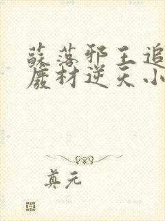 苏落邪王追妻:废材逆天小姐字数