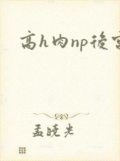 高h肉np后宫