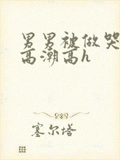男男被做哭失禁高潮高h封面
