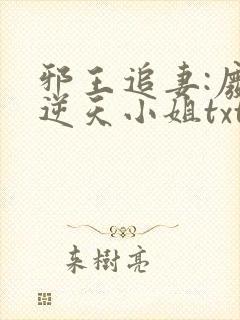 邪王追妻:废材逆天小姐txt下载封面
