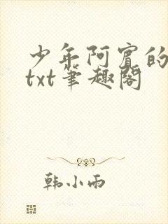 少年阿宾的小说txt笔趣阁