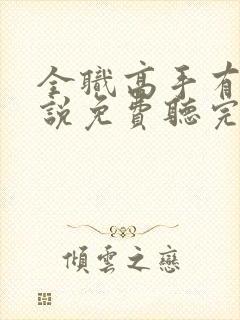 全职高手有声小说免费听完整版
