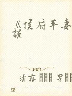 《侯府平妻》小说