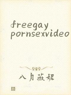 freegaypornsexvideo