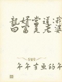 龙婿当道:我的白富美老婆txt下载封面