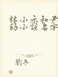 林小亦和尹司辰的小说名字封面