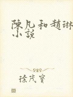 陈凡和赵琳琳的小说